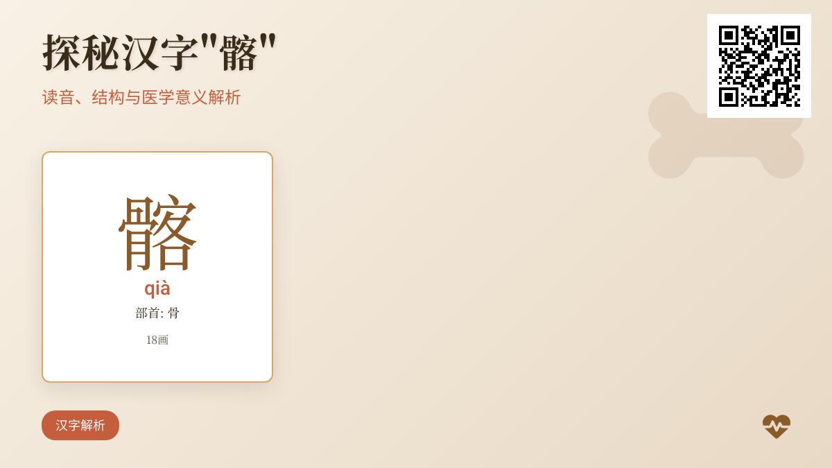 髂骨怎么读qià 18画笔顺与医学解剖意义详解