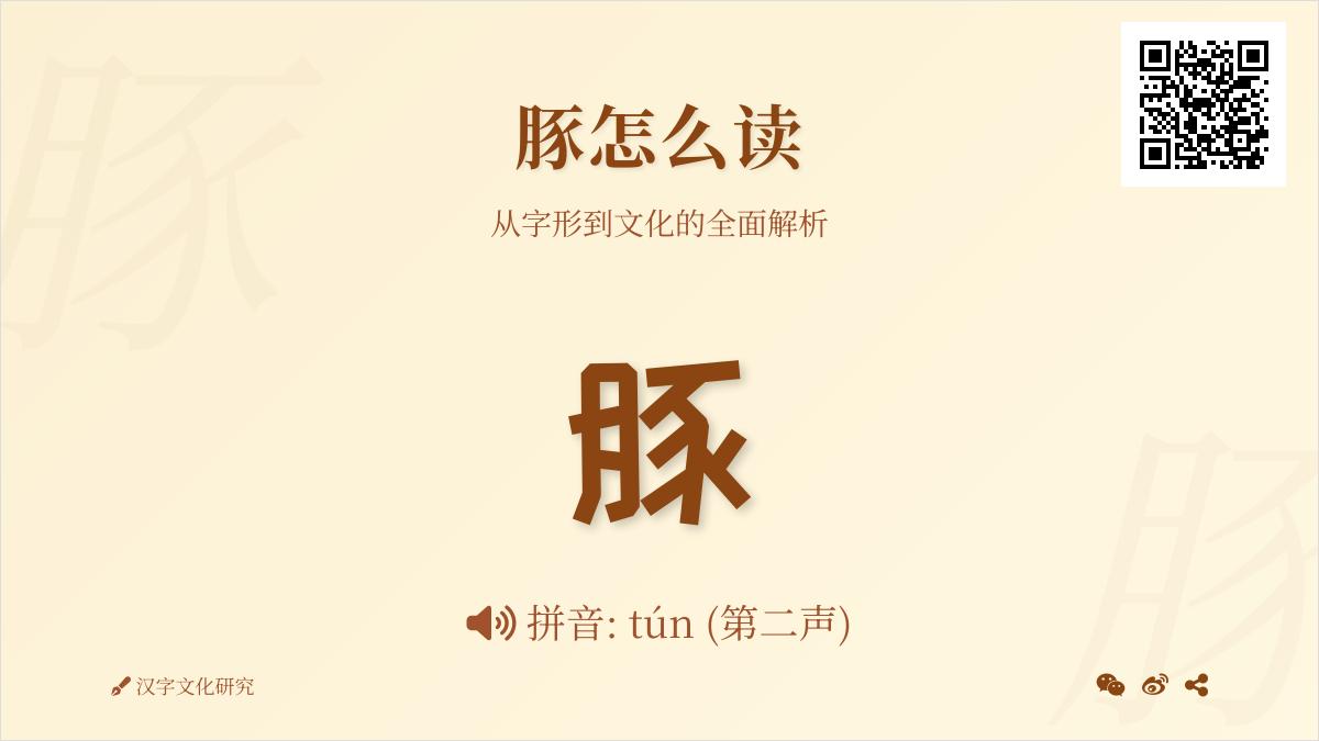 豚怎么读 掌握tún的正确发音和12个相关成语解析