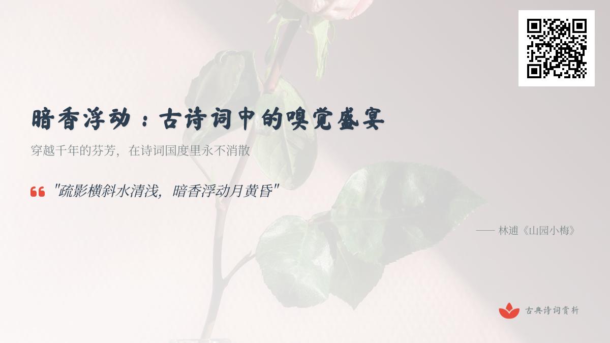 古诗词中暗香浮动的10种绝美描写 关于香味的经典诗句赏析