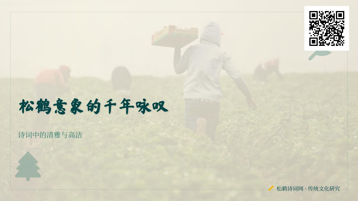 10首关于松鹤的经典诗词 领略千年文人笔下的清雅高洁