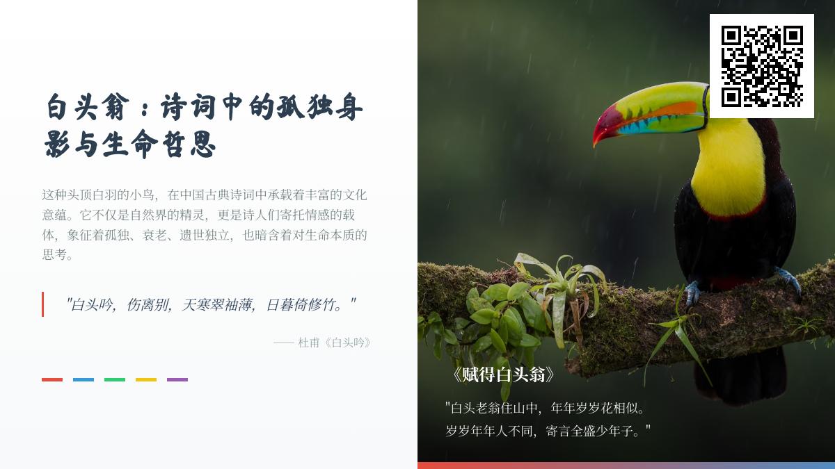 5首关于白头翁的经典诗词赏析 解读孤独与生命的诗意哲思