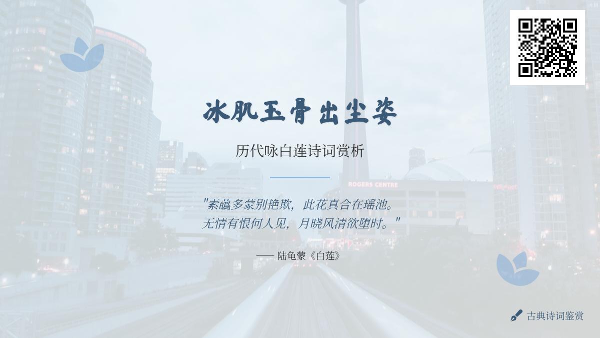 历代咏白莲诗词赏析 10首关于白莲的经典诗词带你领略冰肌玉骨之美