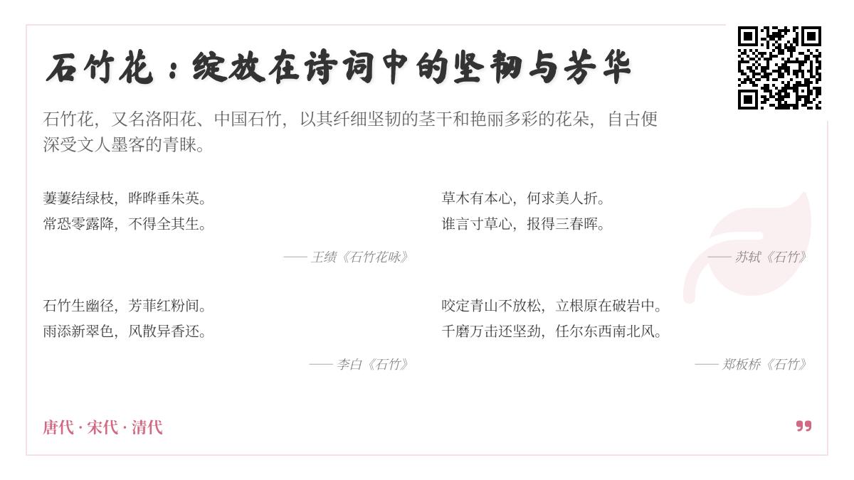 10首关于石竹花的经典诗词 感受古人笔下坚韧与芳华的完美结合