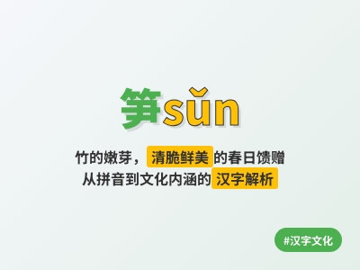 笋怎么读 3分钟掌握sǔn的正确发音与汉字书写技巧